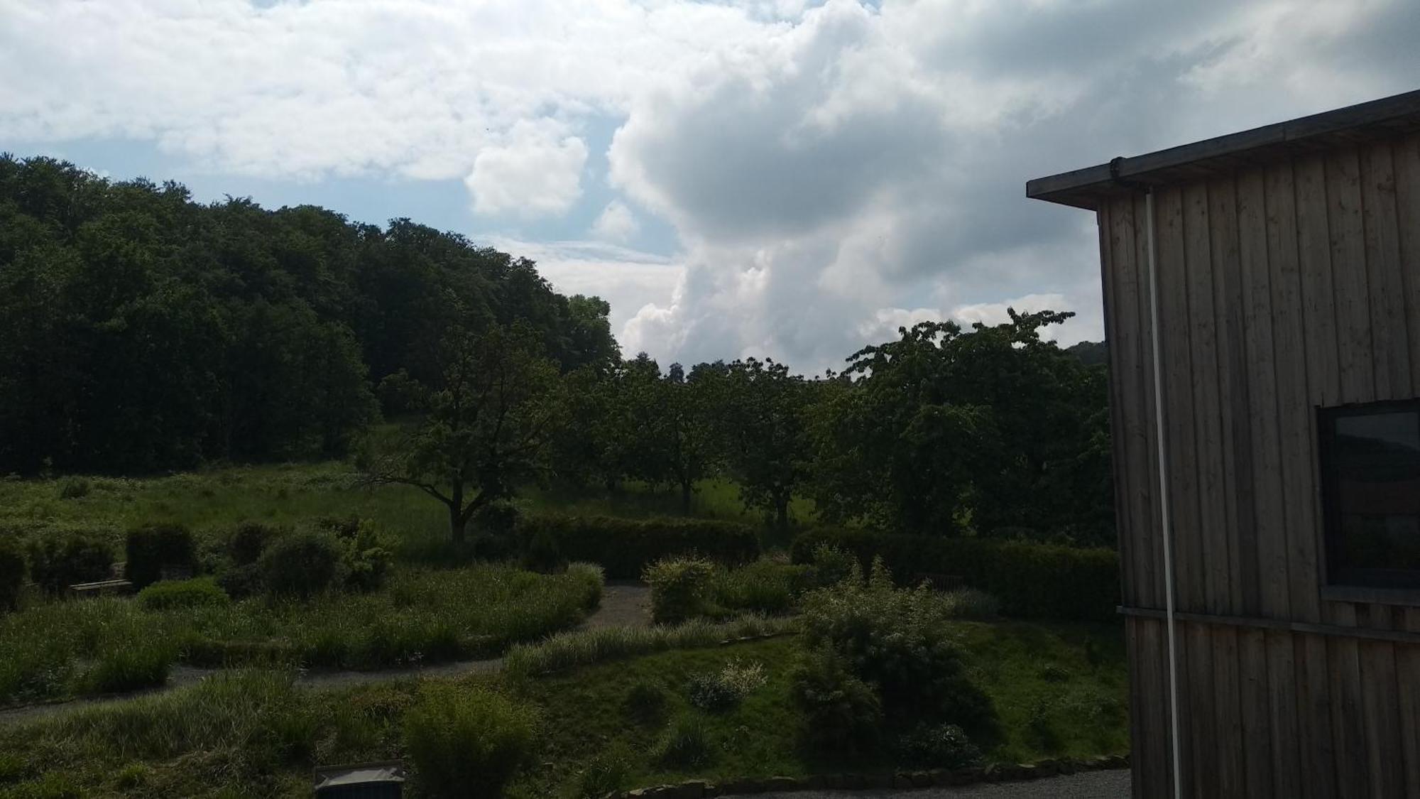 Sonnige Ferienwohnung Am Sternberg エクスタータール エクステリア 写真